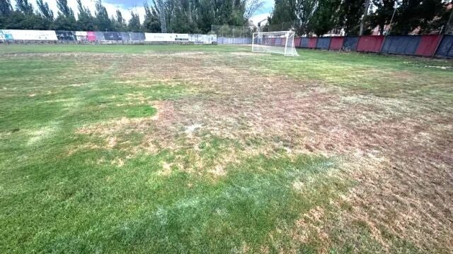 IU-Podemos Laguna denuncia el "impracticable" estado del campo de fútbol de la localidad