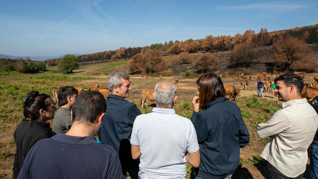 Rueda destaca el papel de la ganadería extensiva frente a los incendios y anuncia nuevas ayudas al rural