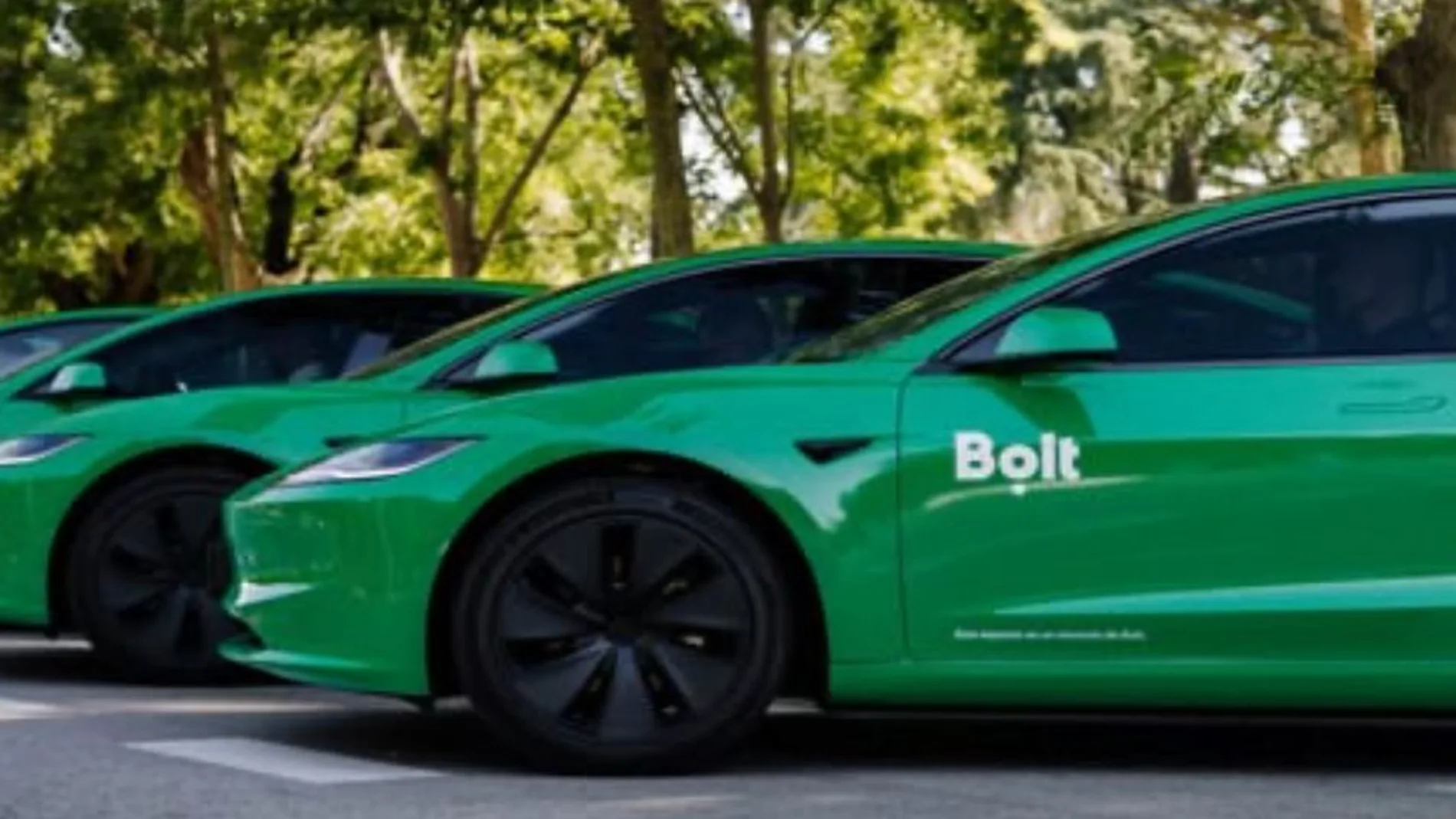 Bolt