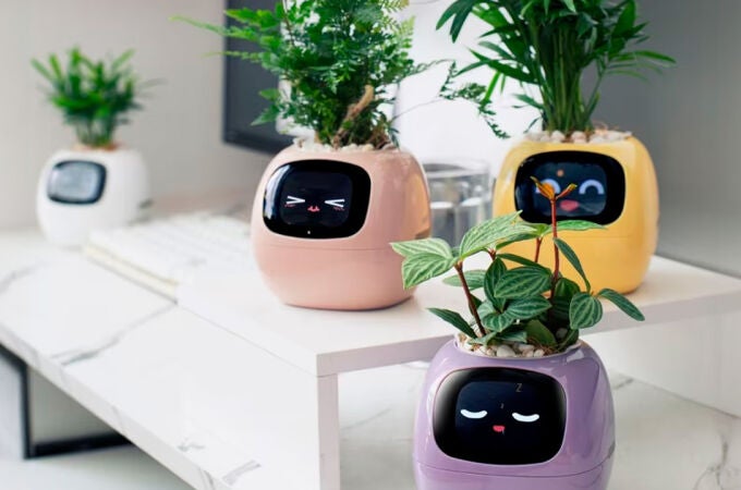 Más de 49 expresiones y 7 sensores para entender a tu planta de un vistazo