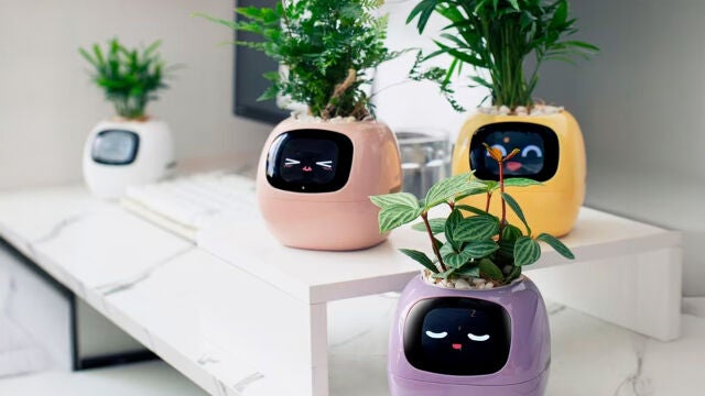 Más de 49 expresiones y 7 sensores para entender a tu planta de un vistazo