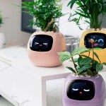 Más de 49 expresiones y 7 sensores para entender a tu planta de un vistazo