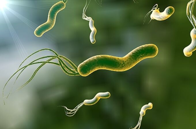 La bacteria 'silenciosa' que preocupa a los expertos: podría provocar cáncer