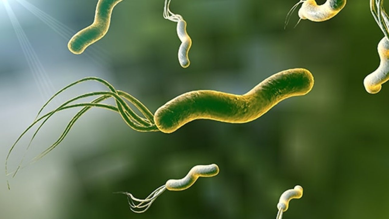 La bacteria 'silenciosa' que preocupa a los expertos: podría provocar cáncer