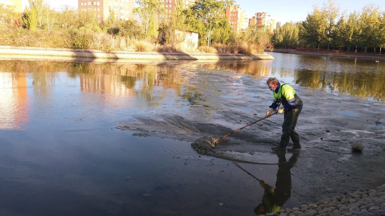 Fuenlabrada: el parque del Lago de Loranca cierra desde este lunes