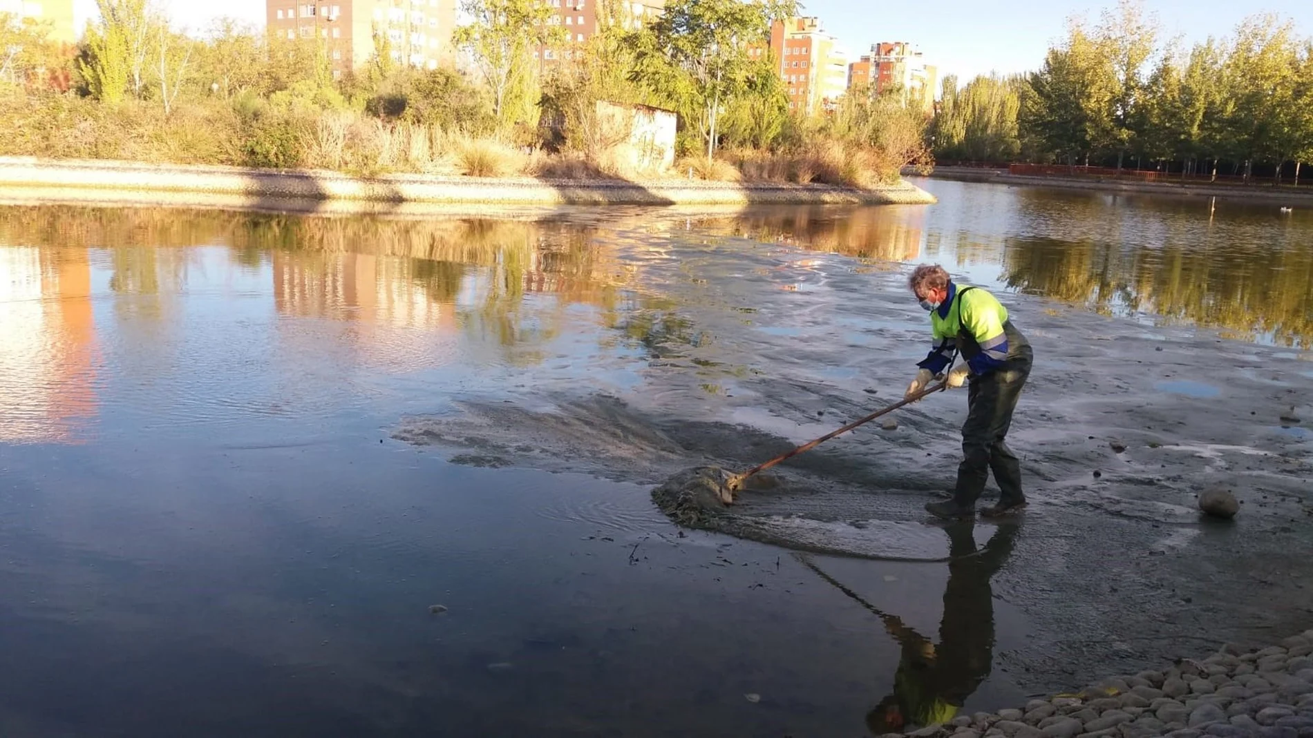 El parque del Lago de Loranca cierra desde este lunes por trabajos de rehabilitación en el recinto