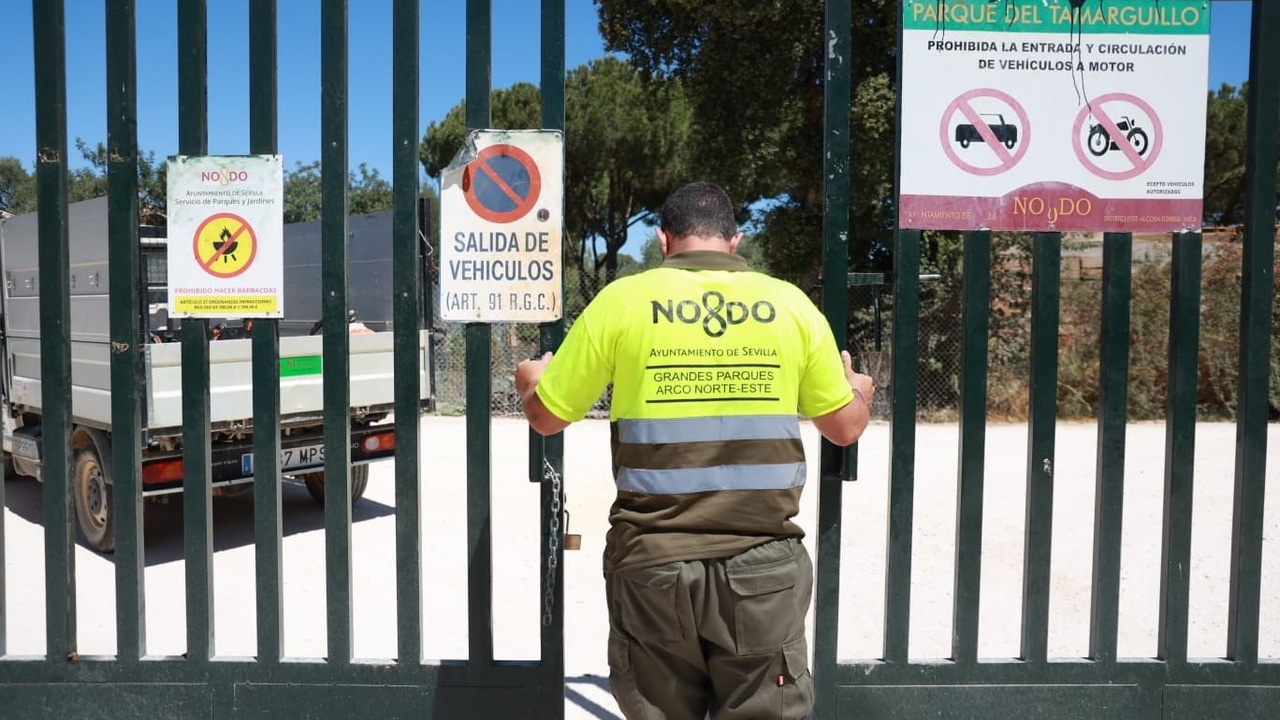 Los resultados de los estudios detectan "alta patogenicidad" en el foco de gripe aviar del Parque del Tamarguillo sevillano