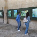 Un puente de arte entre Palencia y Bourges en el corazón de la Catedral