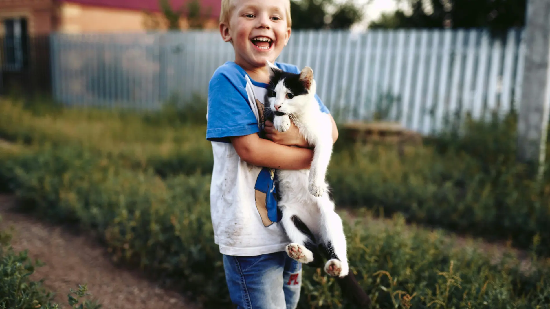 Niño con gato