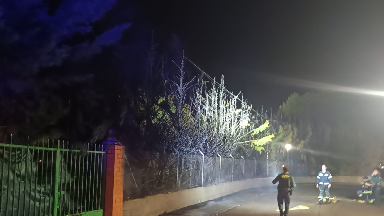 Un incendio en varios árboles afecta a las instalaciones de la piscina municipal de Morales del Vino (Zamora)