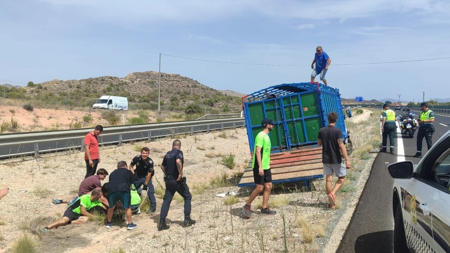 Descubren en Alicante una finca donde realizaban capeas sin licencia tras escaparse una vaquilla y cortar la AP7 REMITIDA / HANDOUT por AYTO ALICANTE Fotografía remitida a medios de comunicación exclusivamente para ilustrar la noticia a la que hace referencia la imagen, y citando la procedencia de la imagen en la firma 06/09/2025