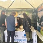 Turismo.- La Comunitat se promociona en 'Falsterbo Bird Show' para ser "destino preferente" del turismo ornitológico