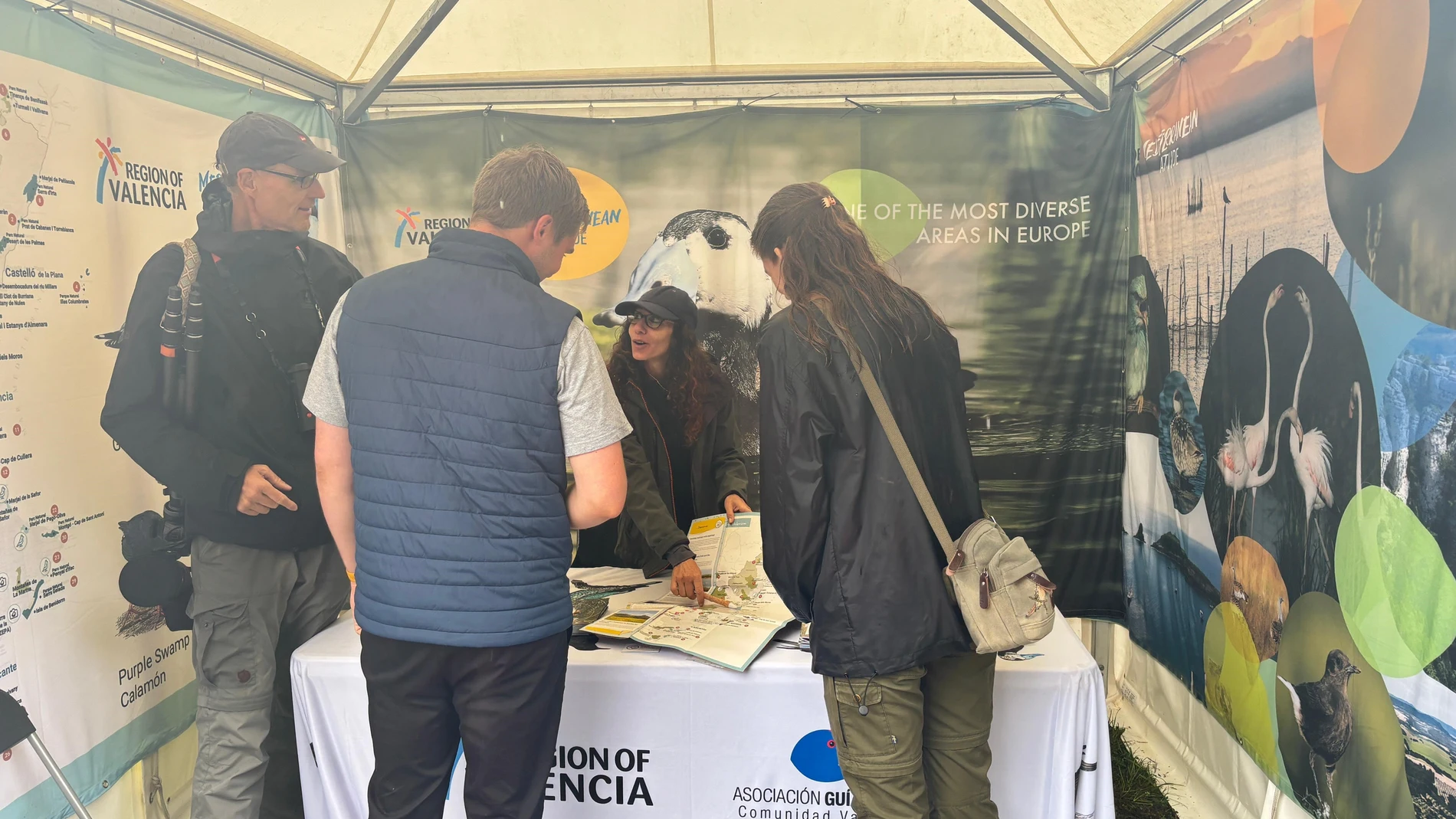 La Generalitat promociona el turismo ornitológico en 'Falsterbo Bird Show', la feria natural más grande del norte de Europa REMITIDA / HANDOUT por GVA Fotografía remitida a medios de comunicación exclusivamente para ilustrar la noticia a la que hace referencia la imagen, y citando la procedencia de la imagen en la firma 06/09/2025