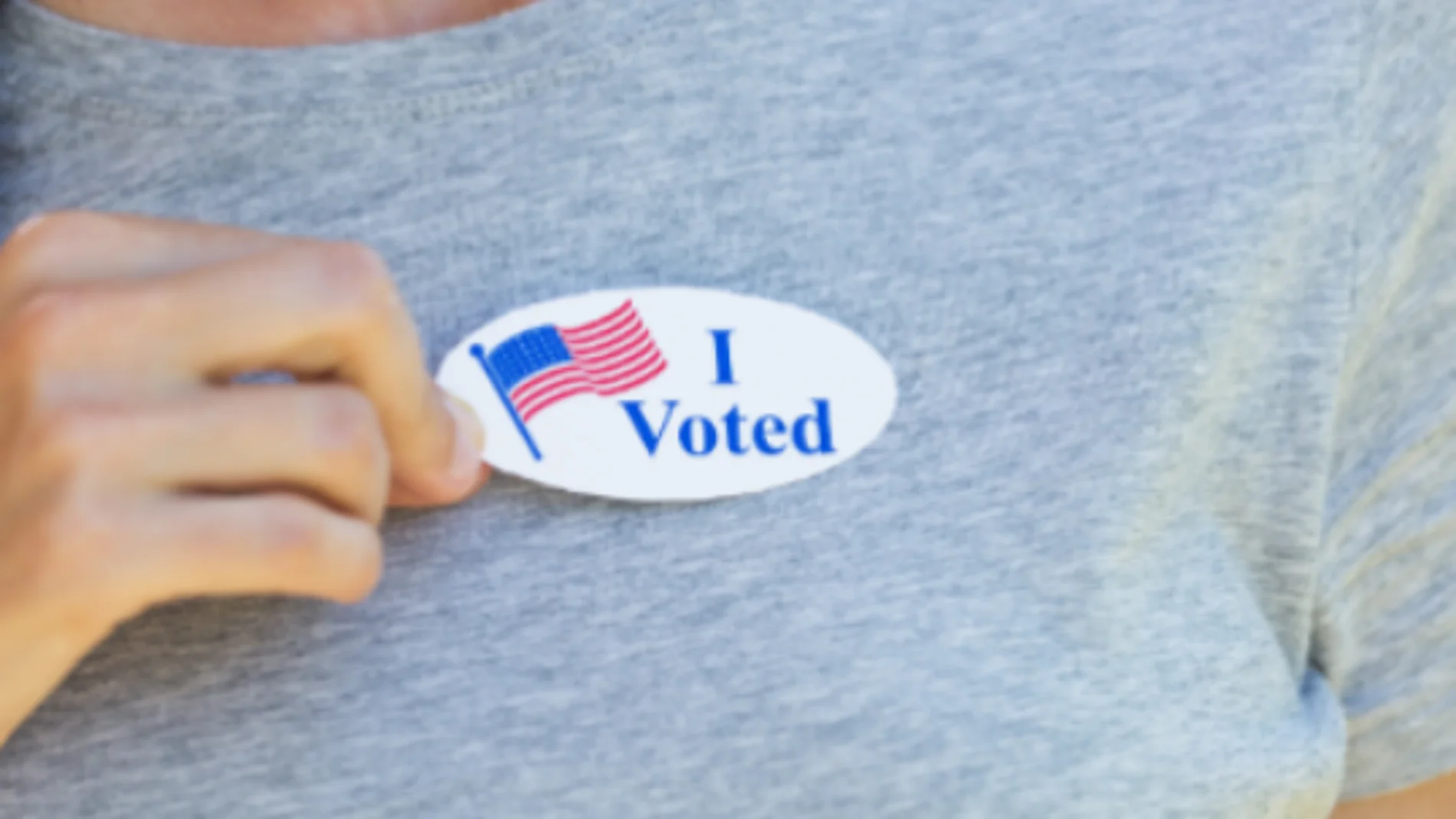 Una mujer de California, acusada de registrar a su perro como ciudadano para poder votar dos veces en EE UU