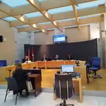 Los padres acusados de intentar asesinar a su bebé en Gipuzkoa en 2023 niegan haberla zarandeado