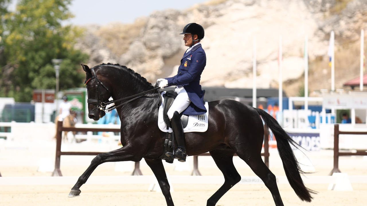 José Antonio García Mena, dos oros y una plata en el Campeonato de España de Caballos Jóvenes 2025