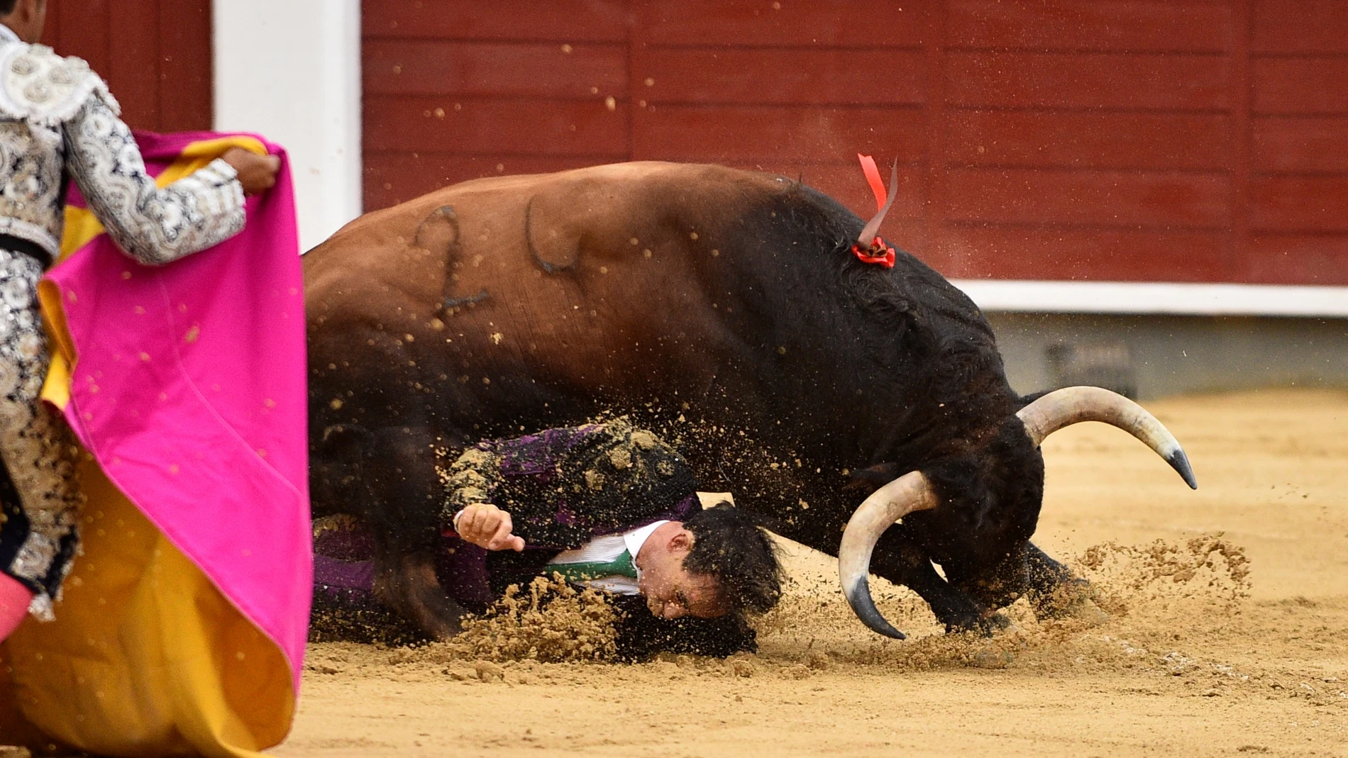 Fortes, arrollado en Albacete