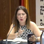 Leire Díez comparece en el Senado