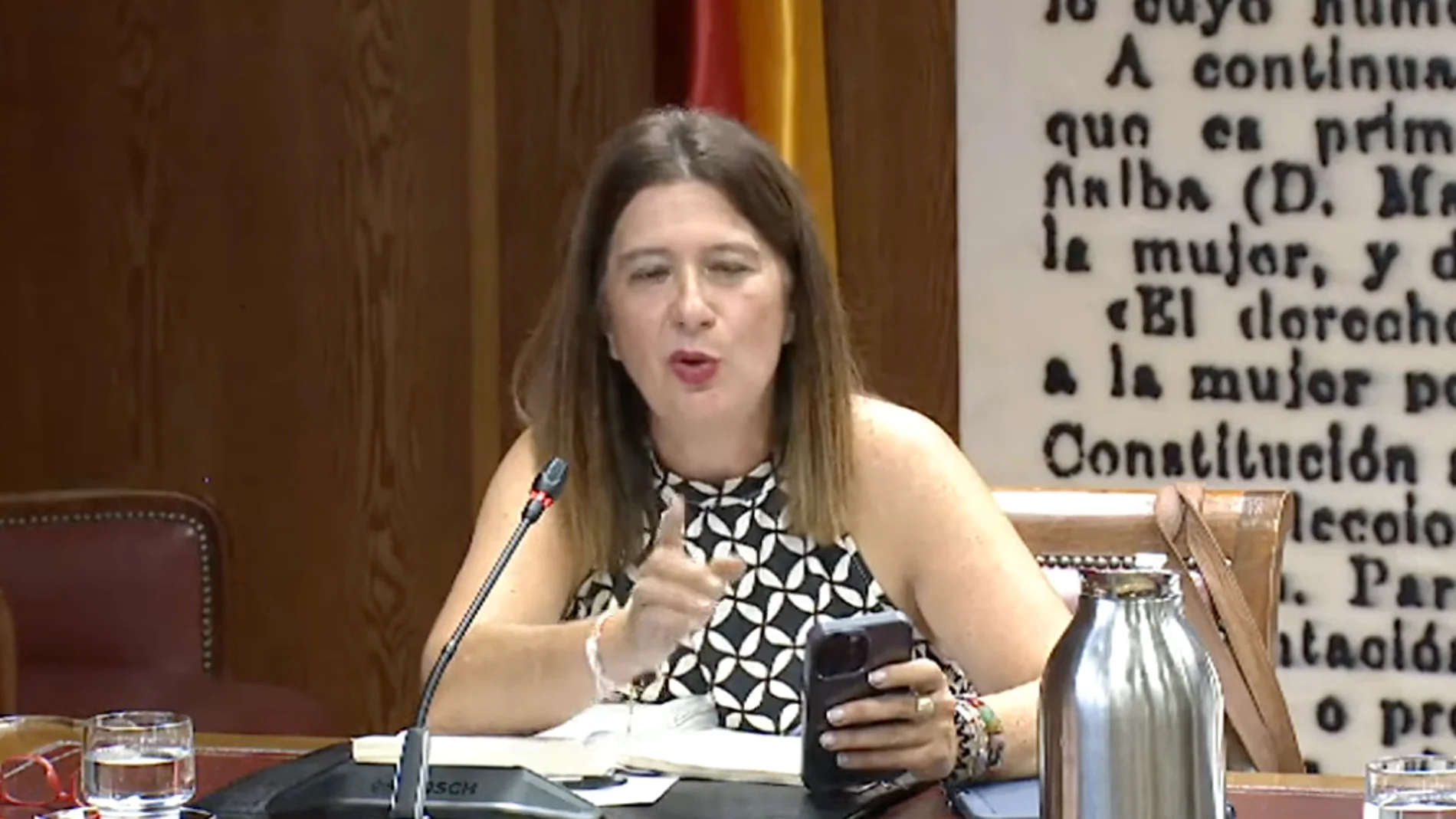 Leire Díez comparece en el Senado