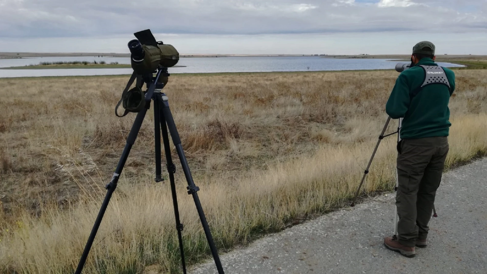 Observación de aves acuáticos en un humedal de Castilla y León