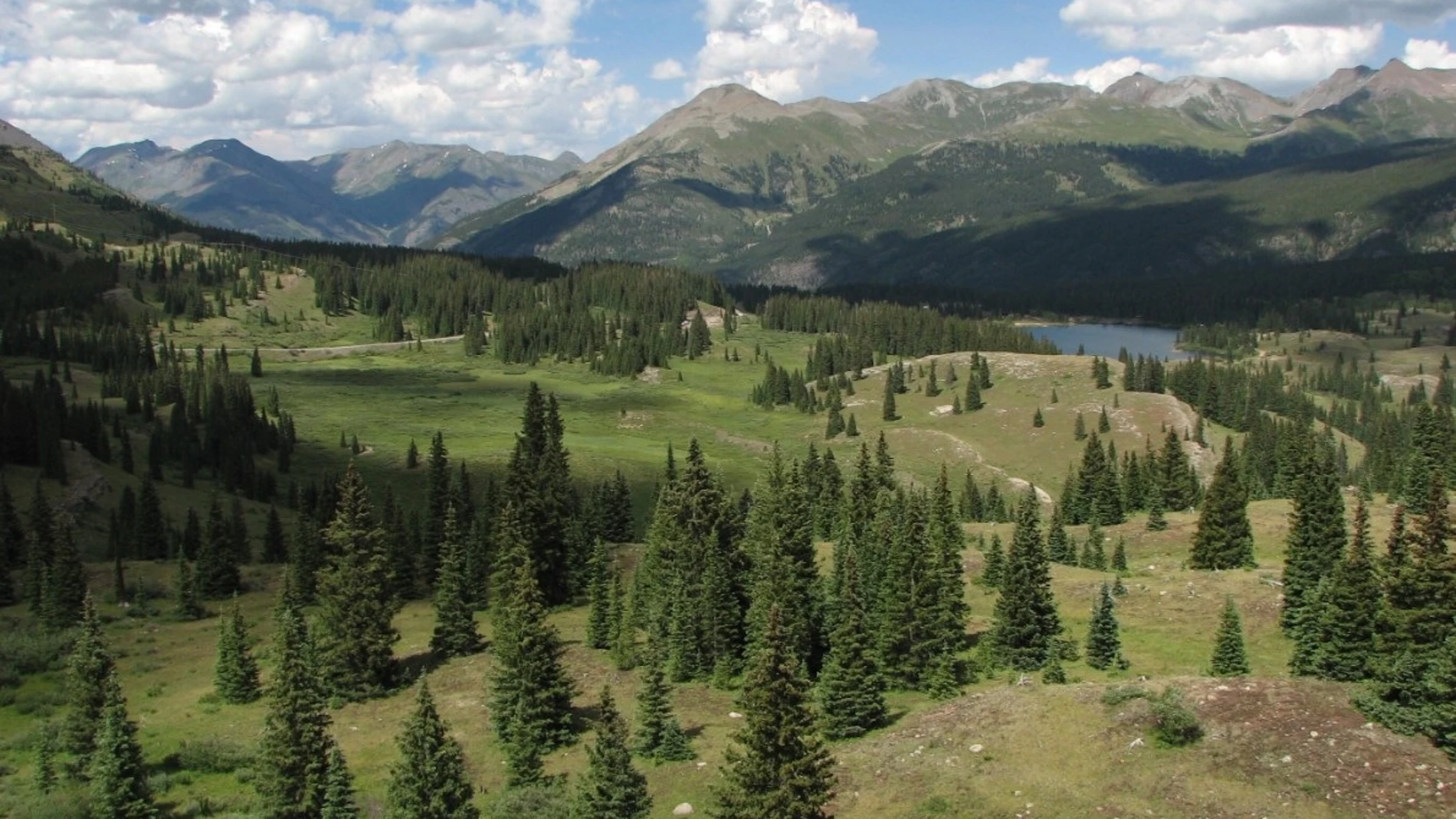 Pradera de Colorado utilizada para el estudio de 20 años de Keith Sockman. REMITIDA / HANDOUT por KEITH SOCKMAN (UNC-CHAPEL HILL) Fotografía remitida a medios de comunicación exclusivamente para ilustrar la noticia a la que hace referencia la imagen, y citando la procedencia de la imagen en la firma 08/09/2025