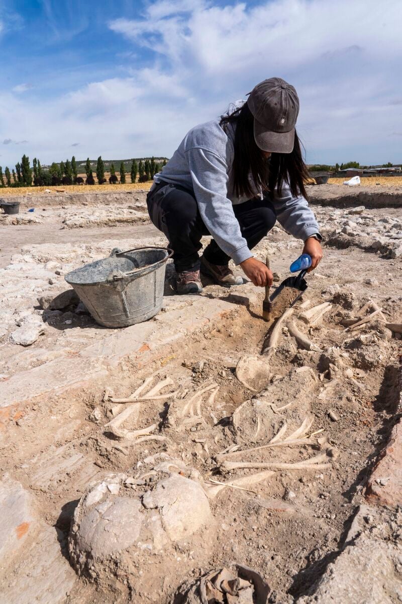 Trabajos de excavación en el yacimiento de Las Calaveras de Renedo (Valladolid) 