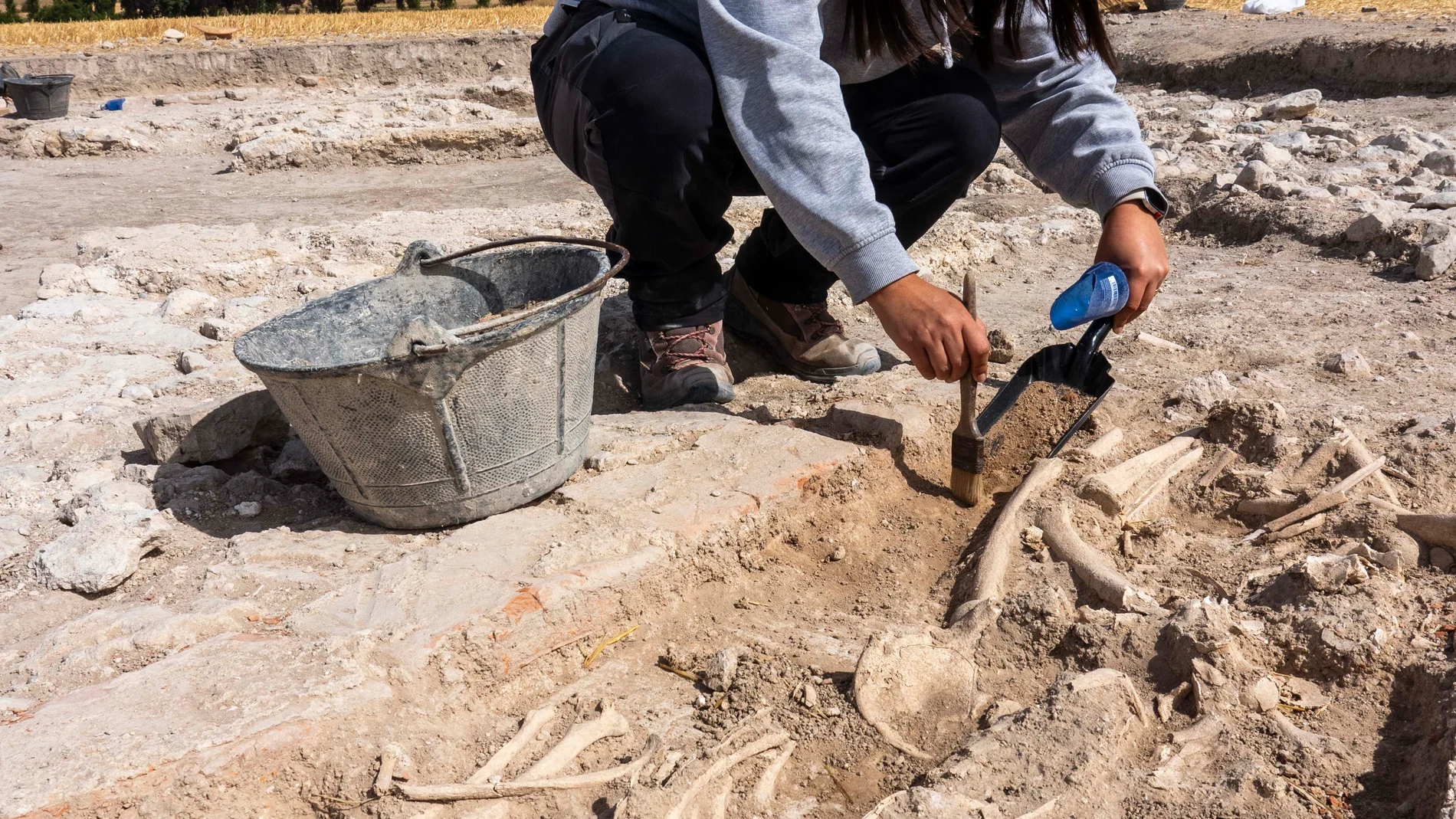 Trabajos de excavación en el yacimiento de Las Calaveras de Renedo (Valladolid)