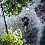 Tren de frentes en España