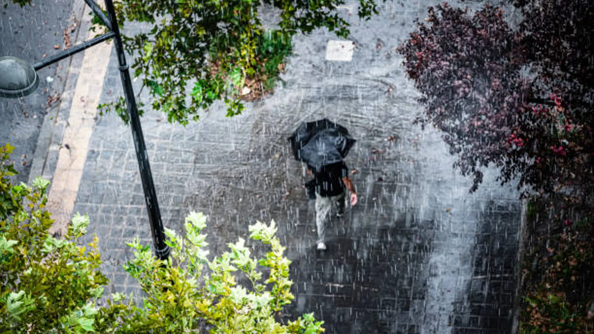 Tren de frentes en España