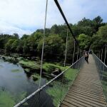 Puente colgante. 