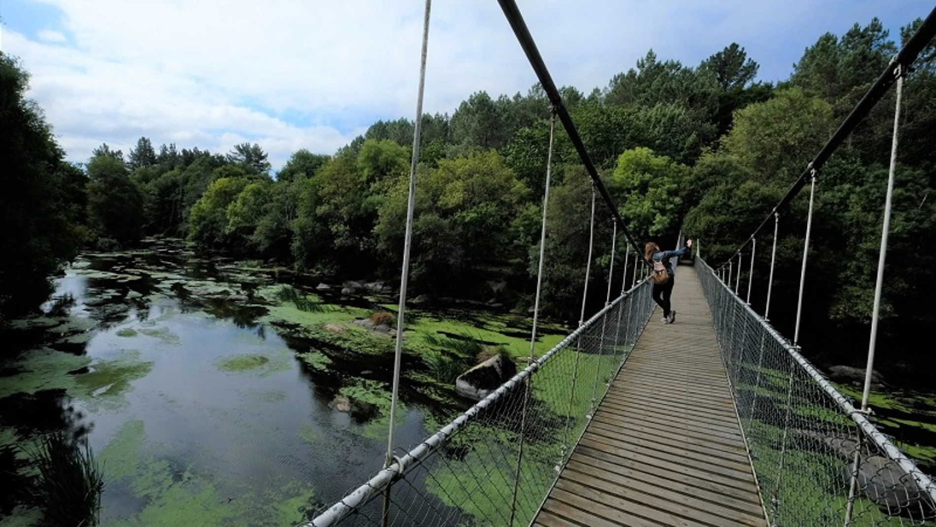 Puente colgante.