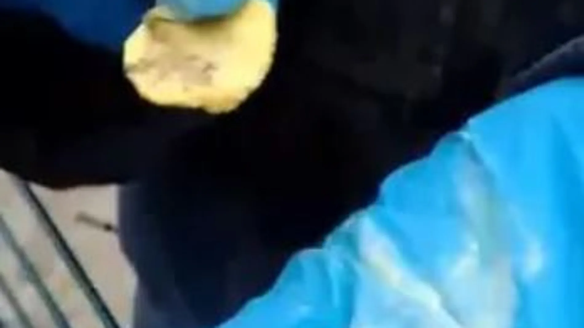 Una de las galletas que podría contener veneno
