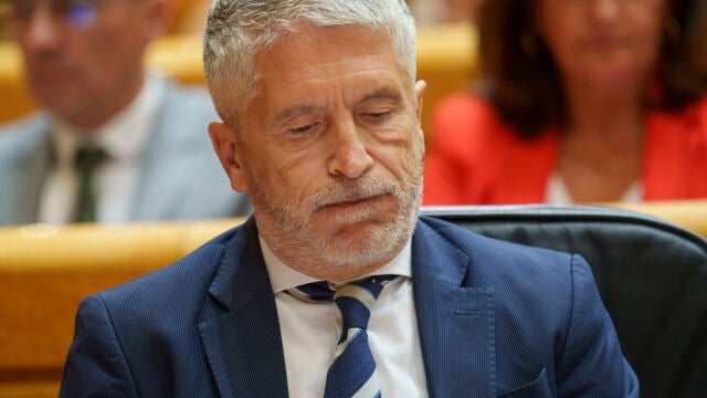 El ministro Grande-Marlaska en el Pleno del Senado. David Jar