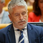 El ministro Grande-Marlaska en el Pleno del Senado. David Jar