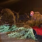 Una tromba de agua, viento y granizo arranca arbolado y anega locales en Binéfar (Huesca)