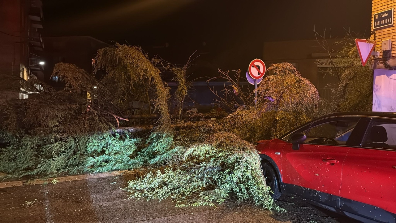 Alerta por lluvias torrenciales: clases suspendidas, inundaciones y decenas de incidencias en Mallorca, Alicante y Huesca