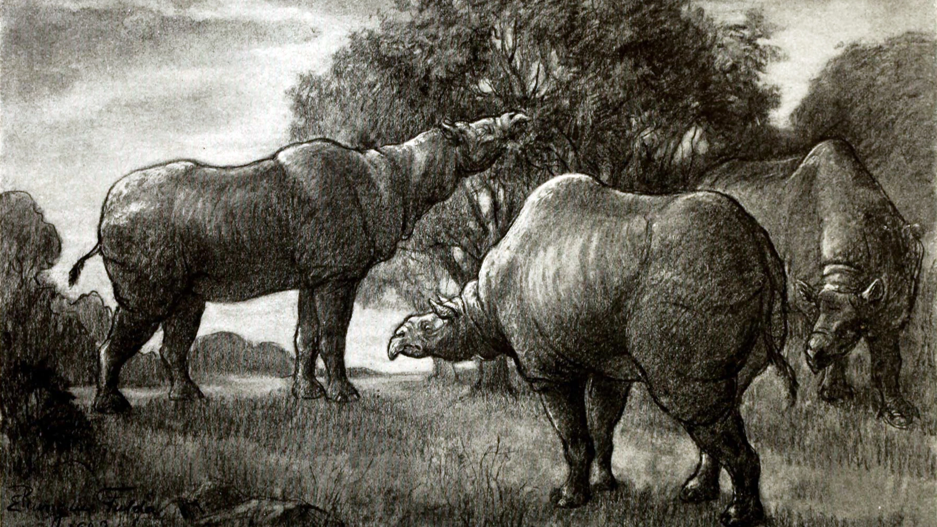 Hacía pequeño a los elefantes: así es el mamífero más grande que caminó por la Tierra