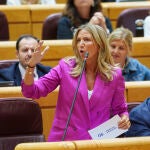 Alicia García en el Pleno del Senado. David Jar