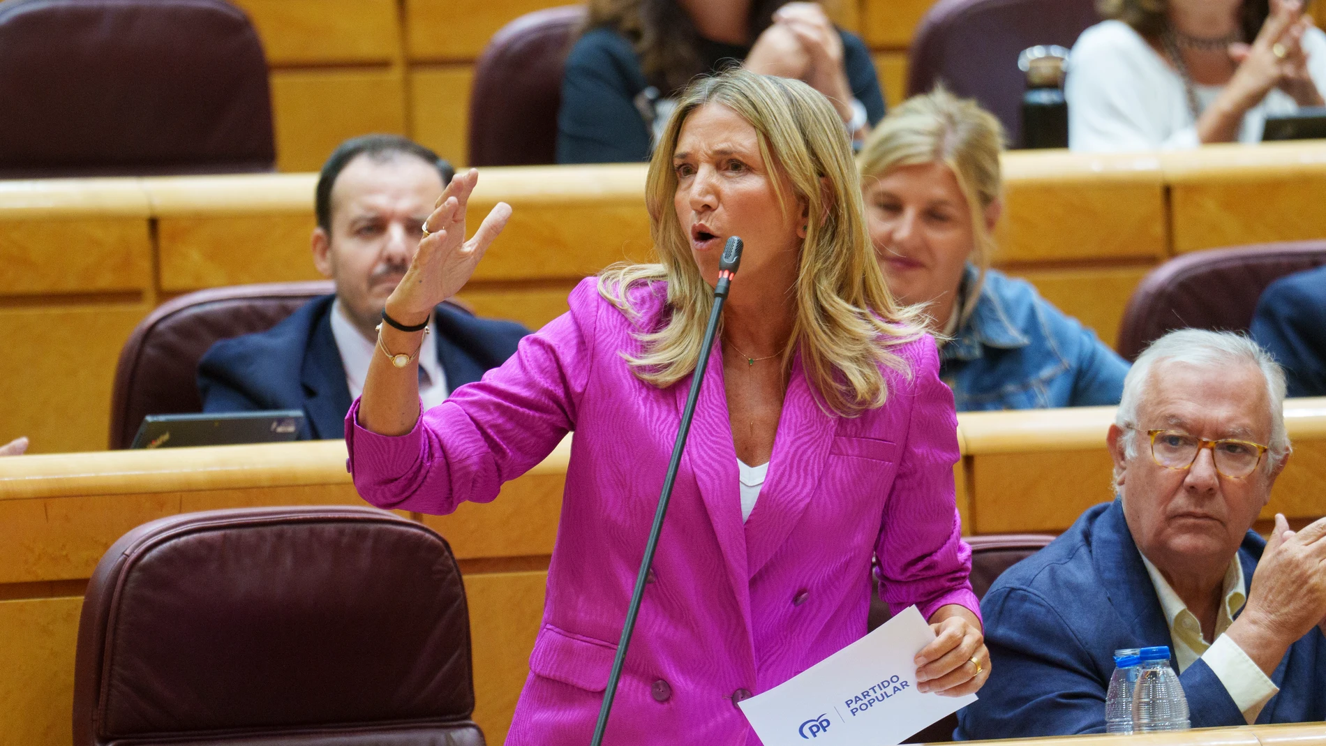 Alicia García en el Pleno del Senado