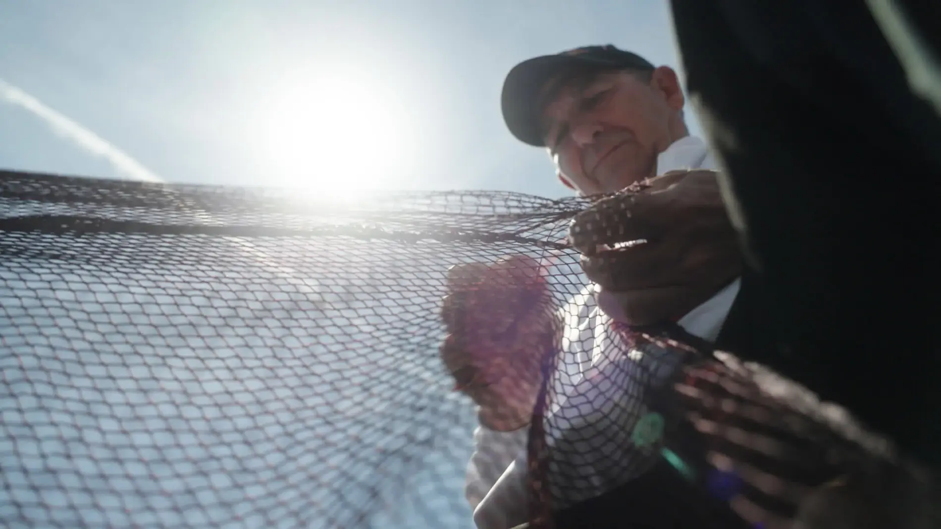 Armadores, escadores, biólogos, rederos y cientos de profesiones más están vinculadas con el mar y sus productos