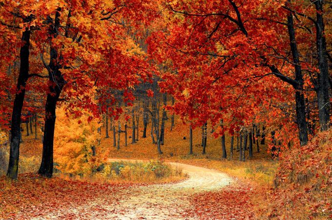 ¿Cuándo empieza el otoño? Esta es la fecha oficial
