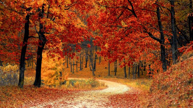¿Cuándo empieza el otoño? Esta es la fecha oficial