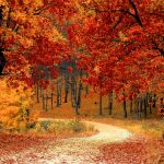 ¿Cuándo empieza el otoño? Esta es la fecha oficial