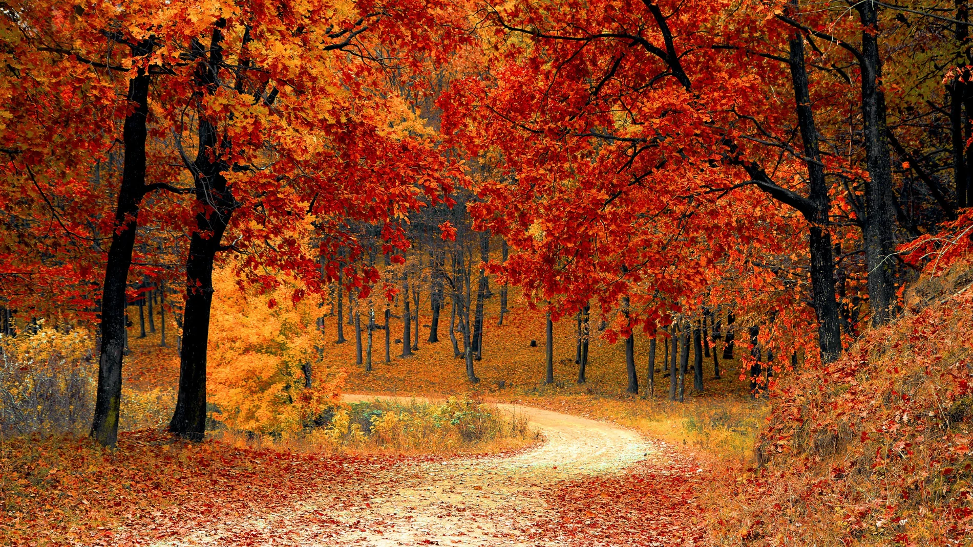 ¿Cuándo empieza el otoño? Esta es la fecha oficial