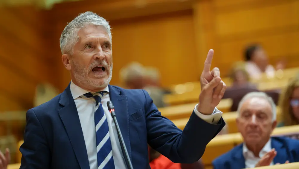 El ministro Grande-Marlaska en el Pleno del Senado. David Jar
