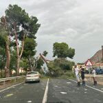 El temporal se centra en Alicante: las lluvias en La Marina Baixa y Alta y un "reventón húmedo" en la Vega Baja causa destrozos en Cox, Redován y Callosa de Segura