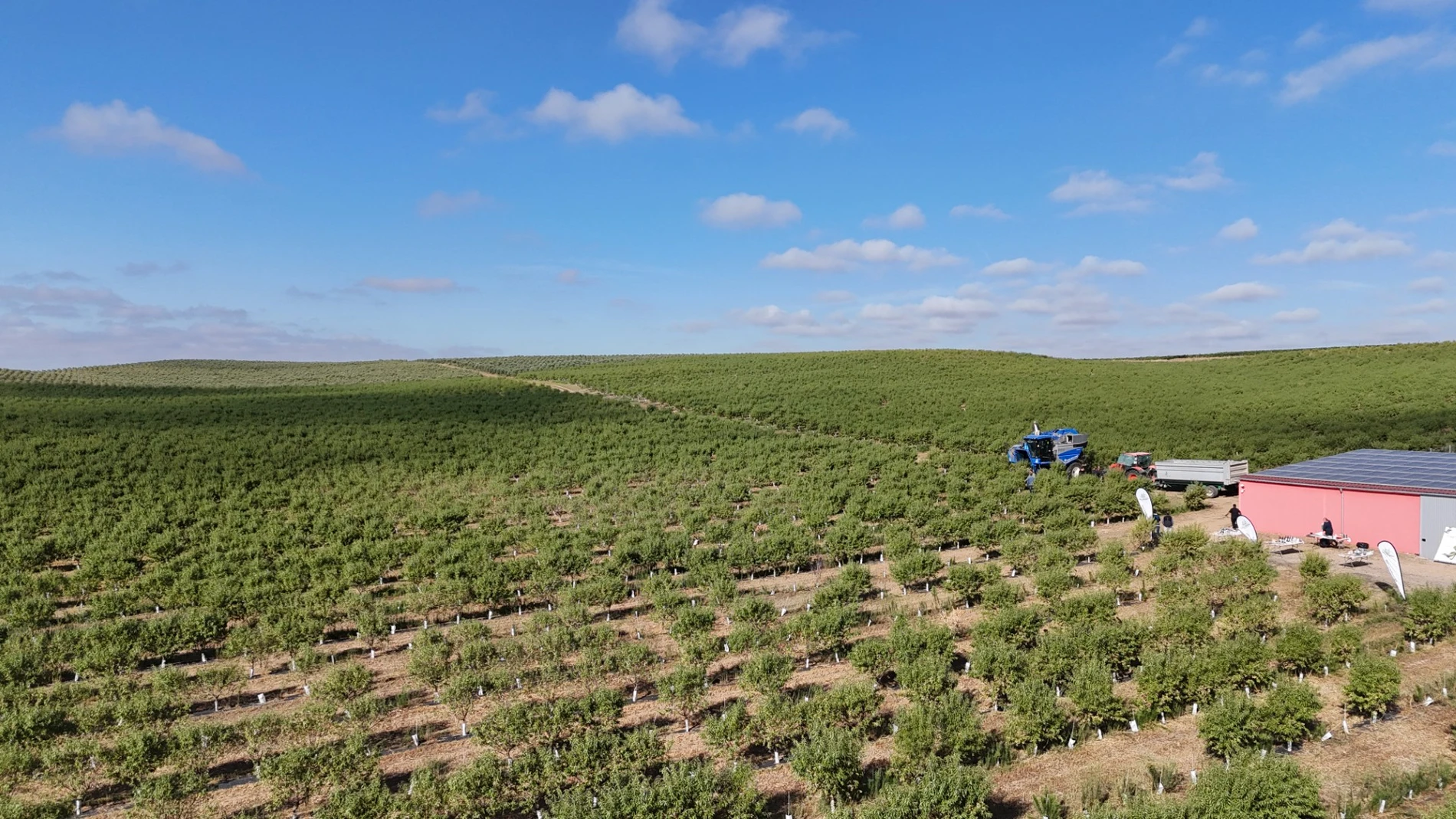 Finca Matarromera en la localidad vallisoletana de Pozaldez