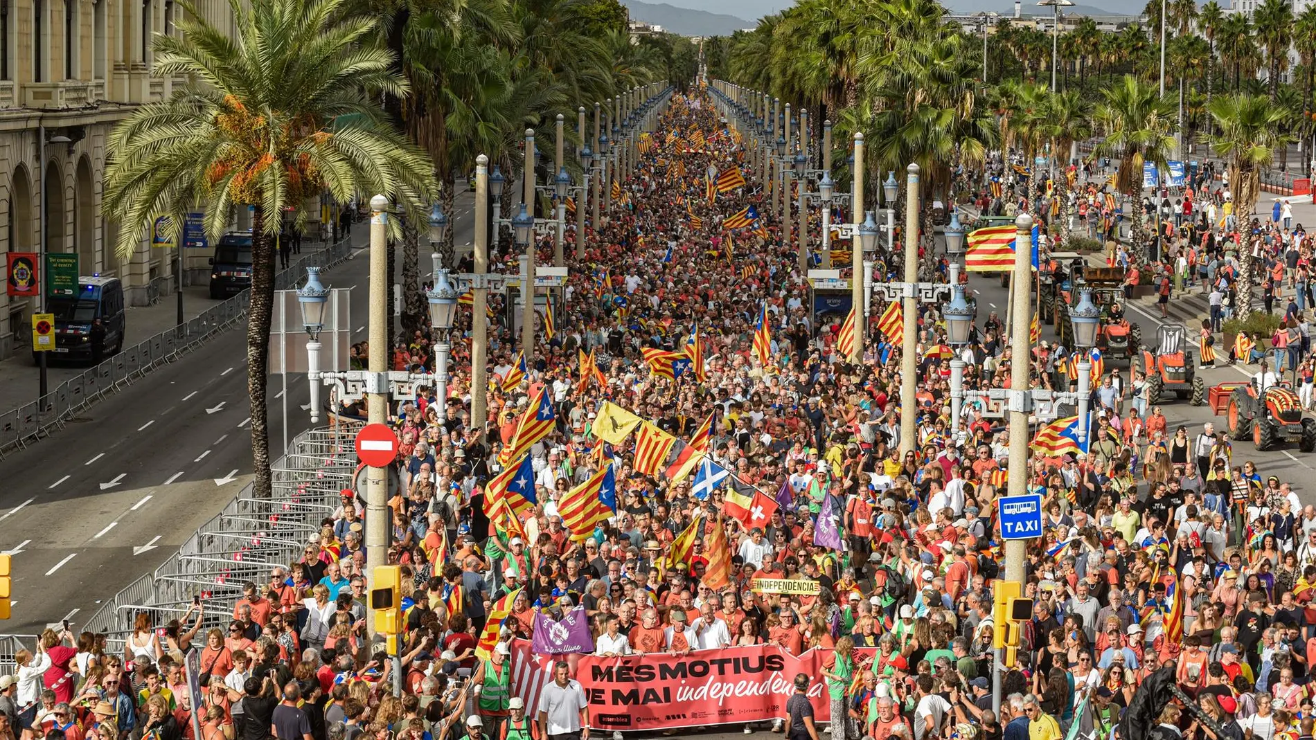 La defensa del catalán y las críticas al fallo del TSJC centran la Diada con 28.000 asistentes, la mitad que hace un año
