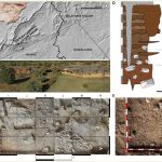 Un nuevo estudio revela que los primeros humanos modernos de la Península Ibérica eran magníficos cazadores