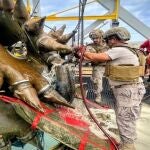 MURCIA.-Sucesos.- La Armada neutraliza una bomba de aviación en el Puerto de Valencia
